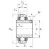 Подшипник GYE40-KRR-B-VA INA #1 small image