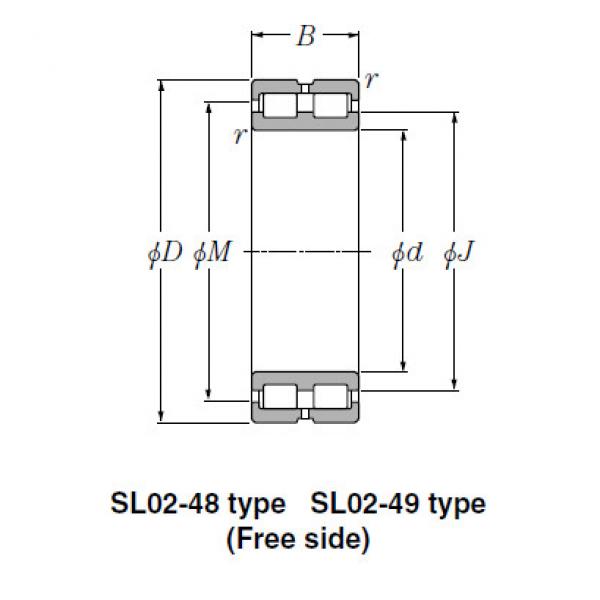 Bearing SL02-4956 #1 image